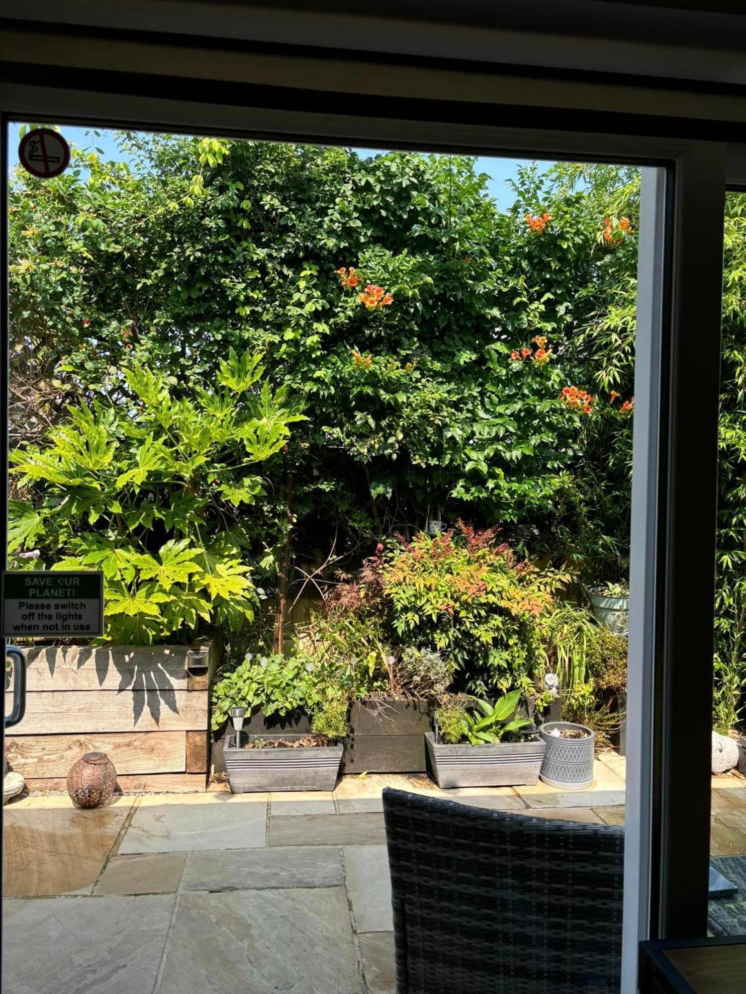 Secret Gem Full Size Hot Tub 1 Bed Garden Flat Leilighet Bournemouth Eksteriør bilde